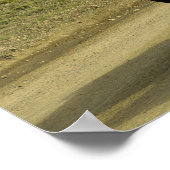 Poster Une paire de poneys islandais Brown (Coin)