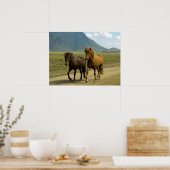 Poster Une paire de poneys islandais Brown (Cuisine)