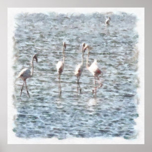 Poster Une Pat Flamboyante De Flamants roses