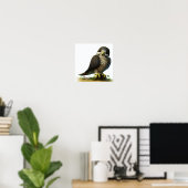 Poster Une peinture numérique d'un jeune faucon pèlerin (Bureau à domicile)