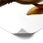 Poster Une peinture numérique d'un jeune pélican mignon (Coin)