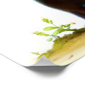 Poster Une peinture numérique d'une mignonne orignal (Coin)