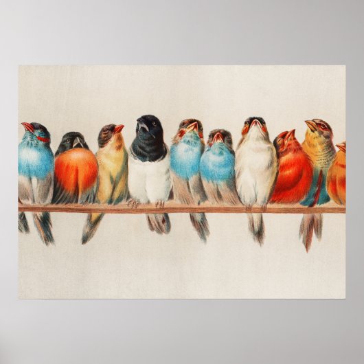 Poster Une perche d'oiseaux, 1880 par Hector Giacomelli (Devant)