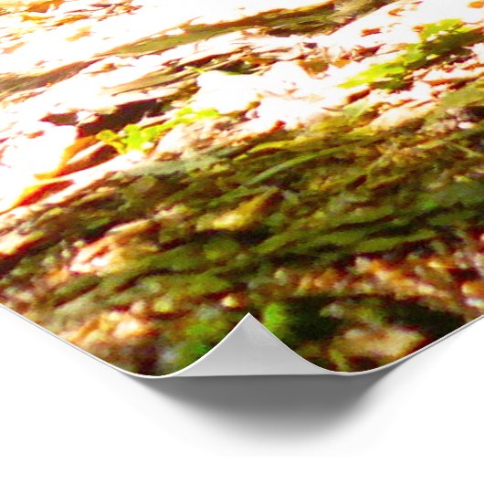 Poster Une perspective de chien (Coin)