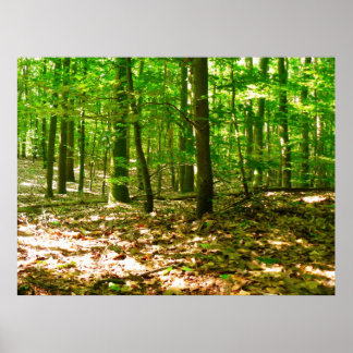 Poster Une perspective de chien