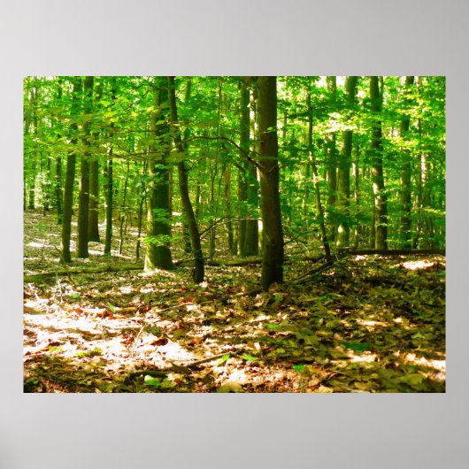 Poster Une perspective de chien (Devant)