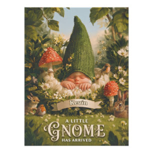 Poster Une petite gnome est arrivée Annonce de naissance