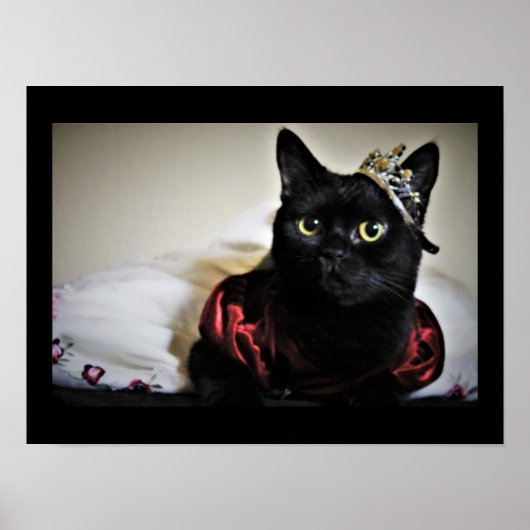 Poster Une petite princesse (Devant)