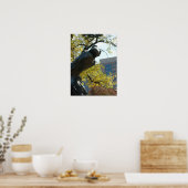 Poster Une Plaza Horse (Cuisine)