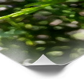 Poster Une plume égarée (Coin)