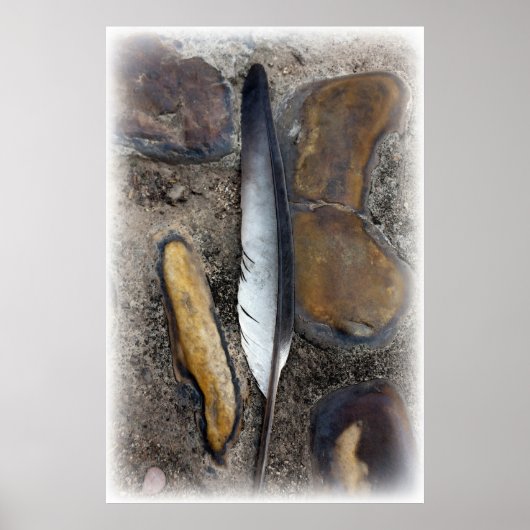 Poster Une plume tombée (Devant)
