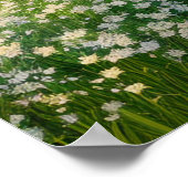 Poster Une prairie verte fleurie en blanc (Coin)