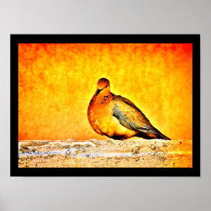 Poster Une princesse de colombe