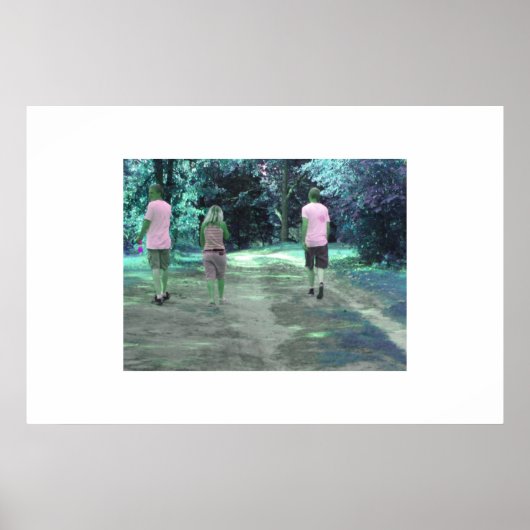 Poster Une Promenade À Remeber (Devant)