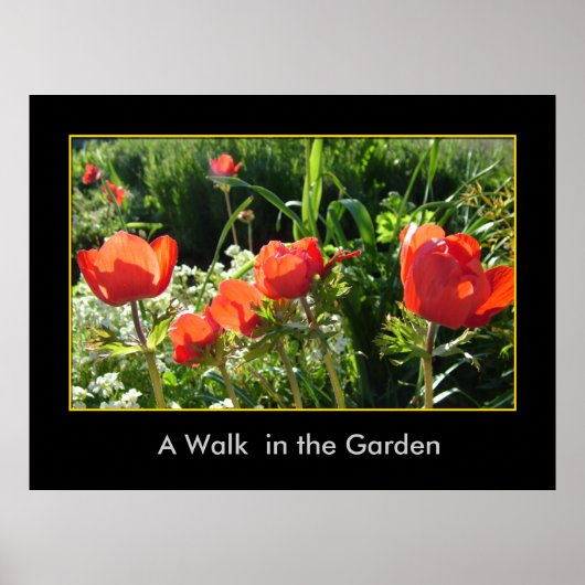 Poster Une promenade dans le jardin (Devant)