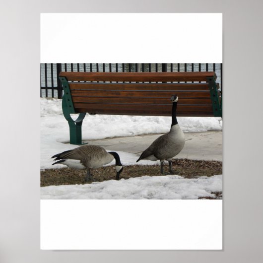 Poster Une promenade dans le parc (Devant)