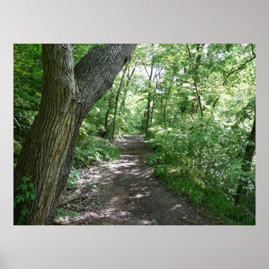 Poster Une promenade dans les bois (Devant)
