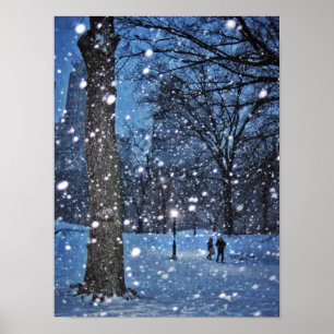 Poster Une Promenade Nocturne À Travers La Neige D'Hiver