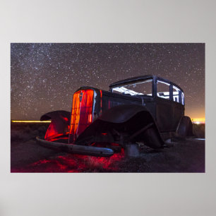 Poster Une relique de la forêt pétrifiée