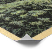 Poster Une retraite ombragée à Echo Park (Coin)