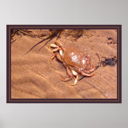 Poster Une Rive Crustale (Devant)