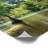 Poster Une rivière de printemps sur Weeki Wachee en Flori (Coin)