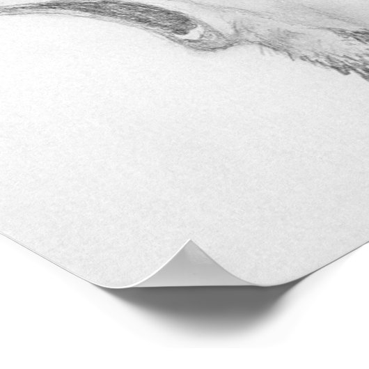 Poster Une Rivière Rouge Lente Traverse À Travers Nous To (Coin)