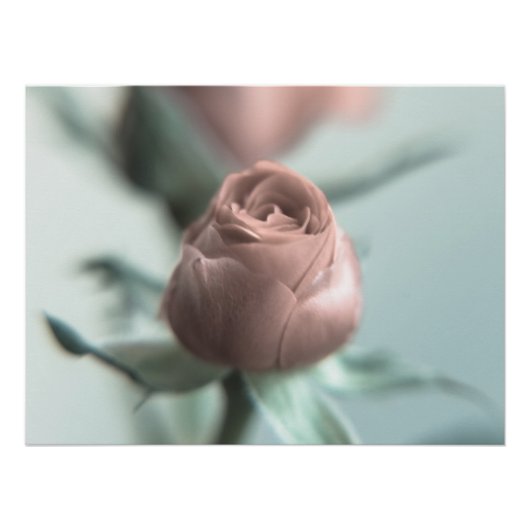 Poster Une rose rose pour votre chéri... (Devant)