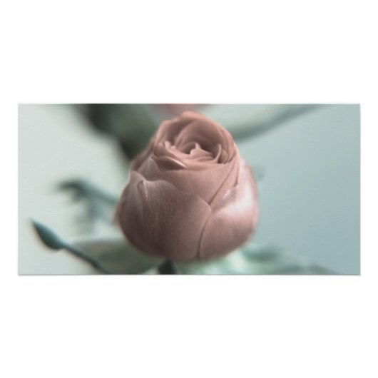 Poster Une rose rose pour votre chéri... (Devant)