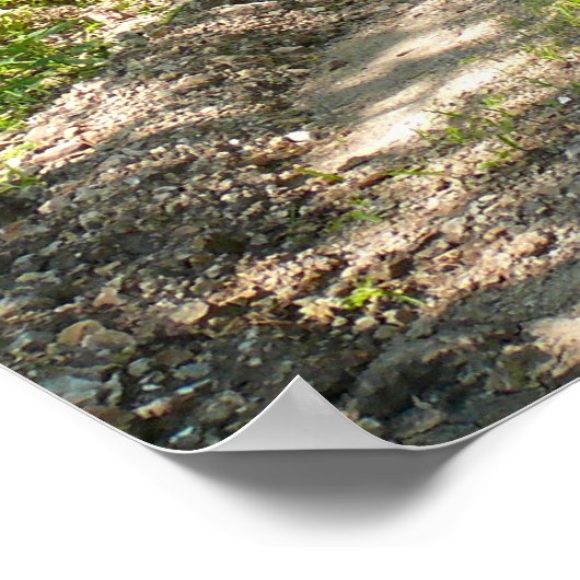 Poster Une route moins parcourue (Coin)