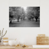 Poster Une route rurale (Cuisine)