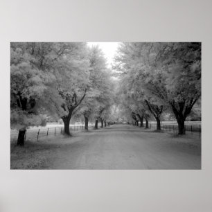 Poster Une route rurale