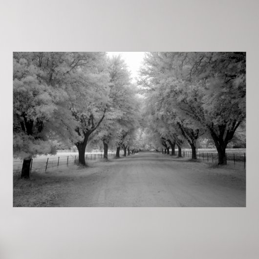 Poster Une route rurale (Devant)