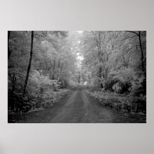 Poster Une route rurale (Devant)