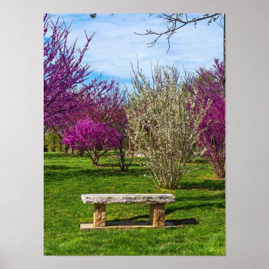 Poster Une saison printanière (Devant)