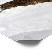 Poster Une scène enneigée au Little Lyford Pond de l'AMC (Coin)