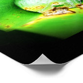 Poster une seule goutte (Coin)