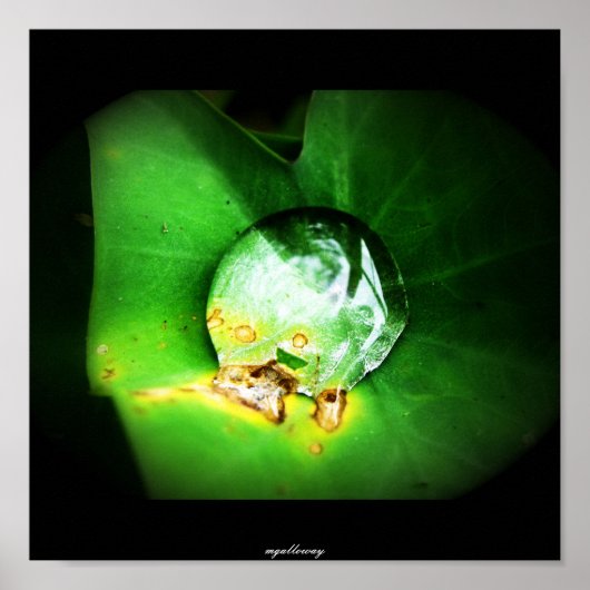 Poster une seule goutte (Devant)