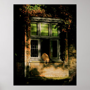 Poster Une sieste au soleil II