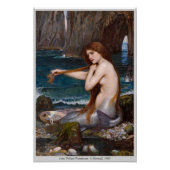 Poster Une sirène de John William Waterhouse 1900 CC1006 (Devant)