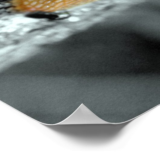 Poster Une Situation Sticule (Coin)