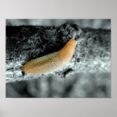 Poster Une Situation Sticule (Devant)