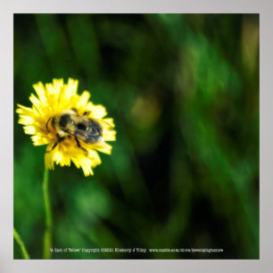 Poster Une tache de jaune