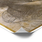 Poster Une tête grise, Léonard de Vinci (Coin)