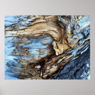 Poster Une texture abstraite dans l'arbre brun clair et b