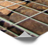 Poster Une texture murale grungy en brique comme fond abs (Coin)