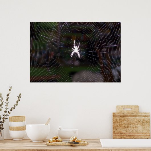 Poster Une toile d'araignées (Cuisine)