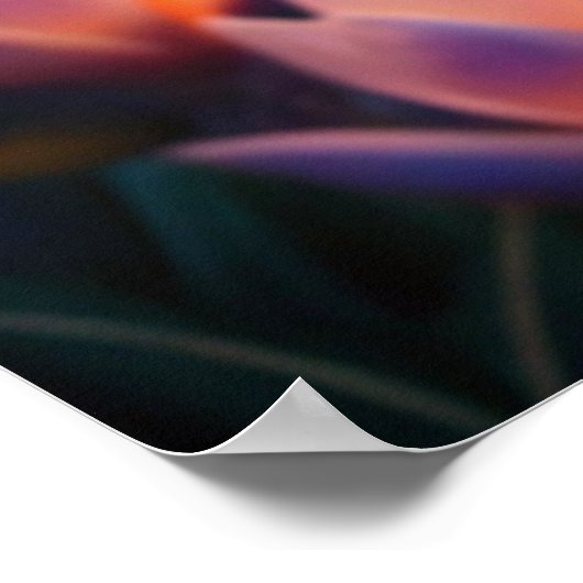 Poster Une tortue (Coin)