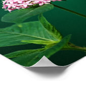 Poster Une touche de rose dans l'impression verte (Coin)