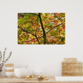 Poster Une Transition Délicate Des Feuilles D'Automne (Cuisine)